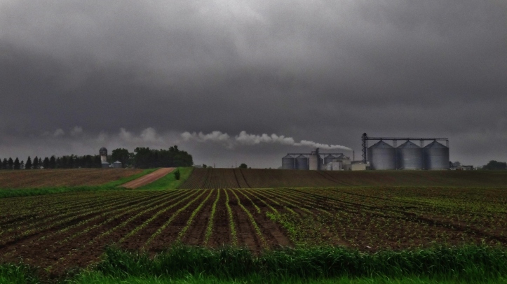 Minnesota crops cloudy smoke horizon
