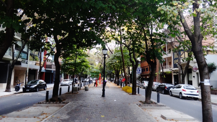 Buenos Aires Las Canitas tree-lined street