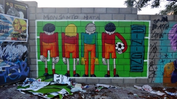 Buenos Aires soccer graffiti