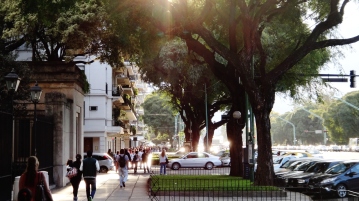 Buenos Aires sun street trees green