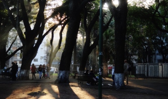Parque Lezama Buenos Aires afternoon light